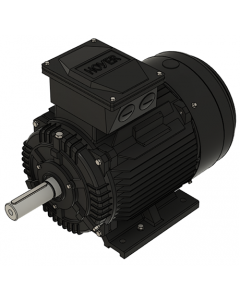 IE3 Electric motor 15,0 kW 400VD/690VY 50 Hz 3000 RPM 5521601100