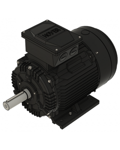 IE3 Electric motor 15,0 kW 230VD/400VY 50 Hz 3000 RPM 5521601150