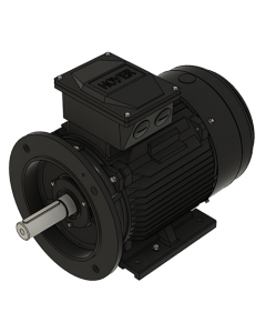 IE3 Electric motor 15,0 kW 400VD/690VY 50 Hz 3000 RPM 5521601400