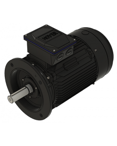 IE3 Electric motor 18,5 kW 400VD/690VY 50 Hz 3000 RPM 5521602200