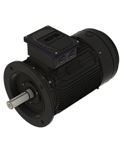 IE3 Electric motor 18,5 kW 230VD/400VY 50 Hz 3000 RPM 5521602250