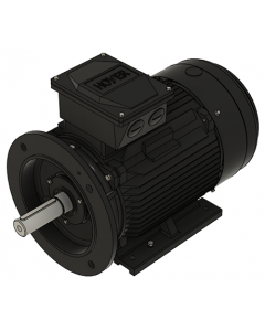 IE3 Electric motor 18,5 kW 400VD/690VY 50 Hz 3000 RPM 5521602400