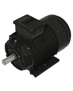 IE3 Electric motor 22,0 kW 400VD/690VY 50 Hz 3000 RPM 5521800100