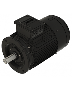 IE3 Electric motor 22,0 kW 400VD/690VY 50 Hz 3000 RPM 5521800200
