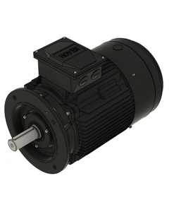 IE3 Electric motor 22,0 kW 230VD/400VY 50 Hz 3000 RPM 5521800250