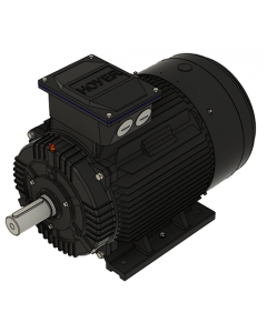 IE3 Electric motor 30,0 kW 400VD/690VY 50 Hz 3000 RPM 5522000100