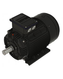 IE3 Electric motor 30,0 kW 230VD/400VY 50 Hz 3000 RPM 5522000150