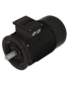 IE3 Electric motor 30,0 kW 400VD/690VY 50 Hz 3000 RPM 5522000200