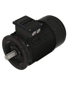 IE3 Electric motor 30,0 kW 230VD/400VY 50 Hz 3000 RPM 5522000250