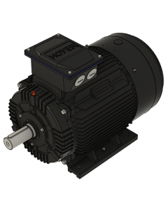 IE3 Electric motor 37,0 kW 400VD/690VY 50 Hz 3000 RPM 5522001100