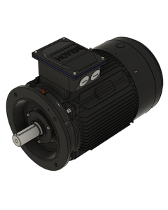 IE3 Electric motor 37,0 kW 400VD/690VY 50 Hz 3000 RPM 5522001200