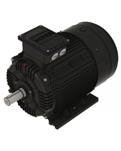 IE3 Electric motor 45,0 kW 400VD/690VY 50 Hz 3000 RPM 5522250100