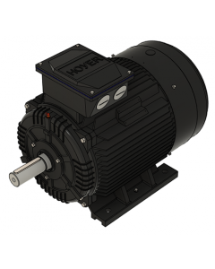 IE3 Electric motor 55,0 kW 400VD/690VY 50 Hz 3000 RPM 5522500100