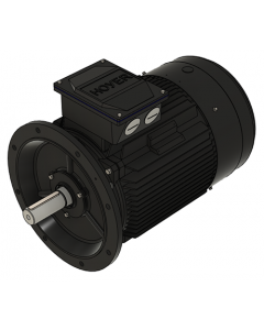 IE3 Electric motor 55,0 kW 400VD/690VY 50 Hz 3000 RPM 5522500200