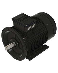 IE3 Electric motor 55,0 kW 400VD/690VY 50 Hz 3000 RPM 5522500400