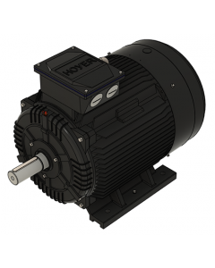 IE3 Electric motor 75,0 kW 400VD/690VY 50 Hz 3000 RPM 5522800100