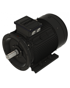 IE3 Electric motor 75,0 kW 400VD/690VY 50 Hz 3000 RPM 5522800400