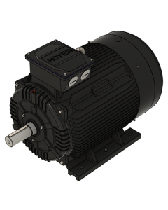 IE3 Electric motor 90,0 kW 400VD/690VY 50 Hz 3000 RPM 5522801100