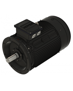 IE3 Electric motor 90,0 kW 400VD/690VY 50 Hz 3000 RPM 5522801200