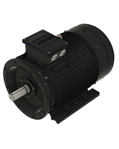IE3 Electric motor 90,0 kW 400VD/690VY 50 Hz 3000 RPM 5522801400
