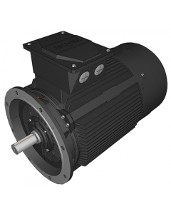 IE3 Electric motor 110 kW 400VD/690VY 50 Hz 3000 RPM 5523150200