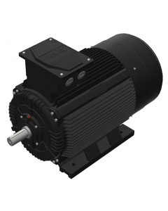 IE3 Electric motor 132 kW 400VD/690VY 50 Hz 3000 RPM 5523151100
