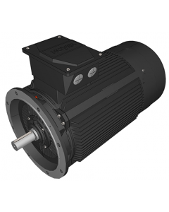 IE3 Electric motor 132 kW 400VD/690VY 50 Hz 3000 RPM 5523151200
