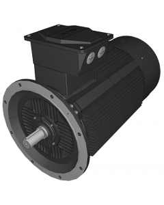 IE3 Electric motor 315 kW 400VD/690VY 50 Hz 3000 RPM 5523551200