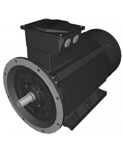 IE3 Electric motor 315 kW 400VD/690VY 50 Hz 3000 RPM 5523551400