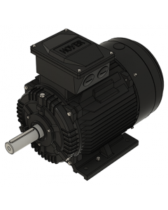 IE3 Electric motor 11,0 kW 400VD/690VY 50 Hz 1500 RPM 5541600100