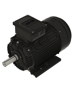 IE3 Electric motor 15,0 kW 230VD/400VY 50 Hz 1500 RPM 5541601150