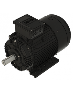IE3 Electric motor 18,5 kW 230VD/400VY 50 Hz 1500 RPM 5541800150