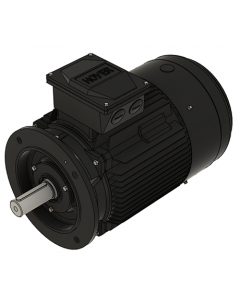 IE3 Electric motor 18,5 kW 230VD/400VY 50 Hz 1500 RPM 5541800250