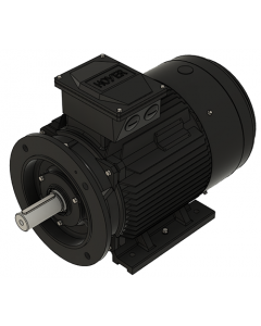 IE3 Electric motor 18,5 kW 400VD/690VY 50 Hz 1500 RPM 5541800400