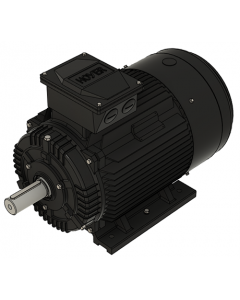 IE3 Electric motor 22,0 kW 400VD/690VY 50 Hz 1500 RPM 5541801100
