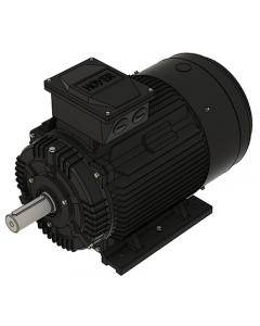 IE3 Electric motor 22,0 kW 230VD/400VY 50 Hz 1500 RPM 5541801150