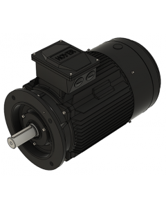 IE3 Electric motor 22,0 kW 400VD/690VY 50 Hz 1500 RPM 5541801200