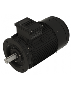 IE3 Electric motor 22,0 kW 230VD/400VY 50 Hz 1500 RPM 5541801250