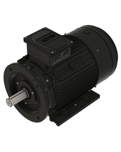 IE3 Electric motor 22,0 kW 400VD/690VY 50 Hz 1500 RPM 5541801400