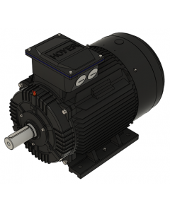 IE3 Electric motor 30,0 kW 400VD/690VY 50 Hz 1500 RPM 5542000100