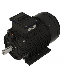 IE3 Electric motor 30,0 kW 230VD/400VY 50 Hz 1500 RPM 5542000150