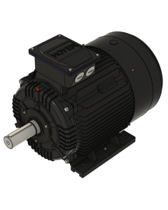 IE3 Electric motor 37,0 kW 400VD/690VY 50 Hz 1500 RPM 5542250100
