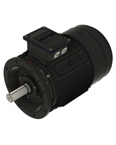 IE3 Electric motor 37,0 kW 400VD/690VY 50 Hz 1500 RPM 5542250200