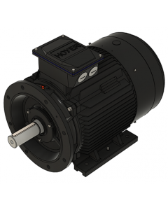 IE3 Electric motor 37,0 kW 400VD/690VY 50 Hz 1500 RPM 5542250400