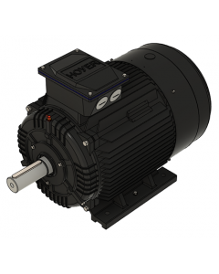 IE3 Electric motor 45,0 kW 400VD/690VY 50 Hz 1500 RPM 5542251100