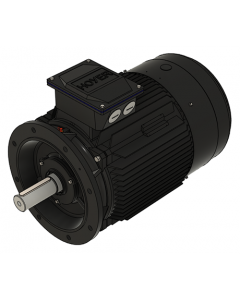 IE3 Electric motor 45,0 kW 400VD/690VY 50 Hz 1500 RPM 5542251200