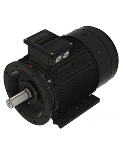 IE3 Electric motor 45,0 kW 400VD/690VY 50 Hz 1500 RPM 5542251400