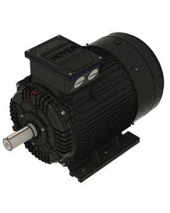 IE3 Electric motor 55,0 kW 400VD/690VY 50 Hz 1500 RPM 5542500100