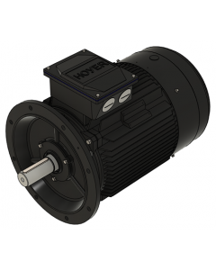 IE3 Electric motor 55,0 kW 400VD/690VY 50 Hz 1500 RPM 5542500200