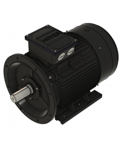 IE3 Electric motor 55,0 kW 400VD/690VY 50 Hz 1500 RPM 5542500400